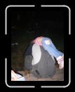 0205-Locas037 * 1920 x 2560 * (2.4MB)