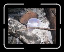 0205-Locas071 * 2560 x 1920 * (2.31MB)