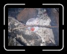 0205-Locas072 * 2560 x 1920 * (2.58MB)