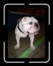 0305-LeagueMtg-NewGals05 * 1920 x 2560 * (2.2MB)