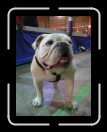 0305-LeagueMtg-NewGals06 * 1920 x 2560 * (2.11MB)