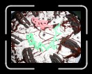 0405-ScarlettBDay06 * 1600 x 1200 * (889KB)