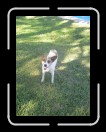 0905-TXRDRetreat099 * 1536 x 2048 * (1.52MB)