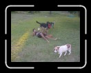 0905-TXRDRetreat168 * 2048 x 1536 * (1.6MB)
