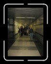 1205-Chicago110 * 1536 x 2048 * (1.52MB)