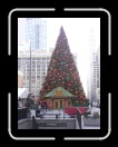 1205-Chicago370 * 1536 x 2048 * (1.3MB)