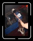 0106-Bullriding067 * 1920 x 2560 * (2.43MB)