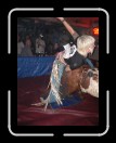 0106-Bullriding077 * 1920 x 2560 * (2.46MB)