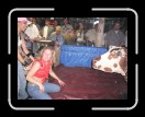 0106-Bullriding089 * 2560 x 1920 * (2.24MB)