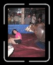 0106-Bullriding097 * 1920 x 2560 * (2.44MB)