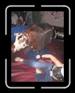 0106-Bullriding103 * 1920 x 2560 * (2.44MB)