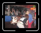 0106-Bullriding109 * 2560 x 1920 * (2.29MB)