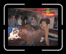 0106-Bullriding113 * 2560 x 1920 * (2.23MB)