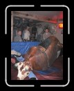 0106-Bullriding124 * 1920 x 2560 * (2.26MB)