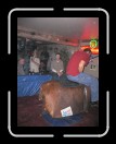 0106-Bullriding130 * 1920 x 2560 * (2.21MB)