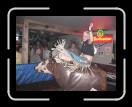 0106-Bullriding142 * 2560 x 1920 * (2.28MB)