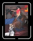 0106-Bullriding163 * 1920 x 2560 * (2.21MB)