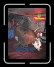 0106-Bullriding168 * 1920 x 2560 * (2.21MB)