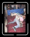 0106-Bullriding175 * 1920 x 2560 * (2.21MB)