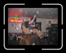0106-Bullriding191 * 2560 x 1920 * (2.44MB)