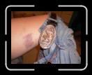 0106-Bullriding207 * 2560 x 1920 * (2.39MB)