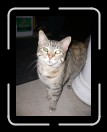 0306-CatalacsCasa02 * 1920 x 2560 * (2.29MB)