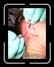 0306-RCTeamTat15 * 1920 x 2560 * (1.99MB)