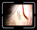 0306-RCTeamTat33 * 2560 x 1920 * (2.26MB)