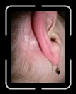 0306-RCTeamTat52 * 1920 x 2560 * (1.92MB)