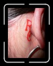 0306-RCTeamTat61 * 1920 x 2560 * (1.97MB)