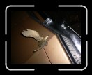 0306-RCTeamTat62 * 2560 x 1920 * (2.23MB)