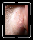 0306-RCTeamTat65 * 1920 x 2560 * (1.61MB)