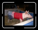 0406-RCvsPDF002 * 2560 x 1920 * (2.42MB)