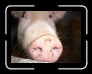 0406-RCvsPDF008 * 2560 x 1920 * (2.0MB)