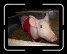 0406-RCvsPDF009 * 2560 x 1920 * (2.45MB)