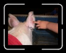 0406-RCvsPDF015 * 2560 x 1920 * (2.06MB)