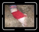 0406-RCvsPDF052 * 2560 x 1920 * (2.33MB)