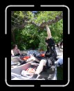 0406-PirateRam066 * 1920 x 2560 * (2.53MB)
