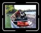0406-PirateRam070 * 2560 x 1920 * (2.25MB)