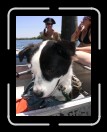 0406-PirateRam084 * 1920 x 2560 * (2.03MB)