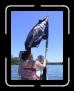 0406-PirateRam088 * 1920 x 2560 * (2.05MB)