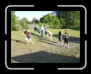 0506-RedRover-Din04 * 2560 x 1920 * (2.39MB)