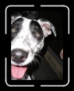 0506-RC-CB-LastSup04 * 1920 x 2560 * (2.05MB)