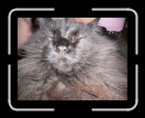 0506-RC-CB-LastSup19 * 2560 x 1920 * (2.35MB)