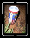 0506-RC-PDF-Camp130 * 1920 x 2560 * (2.48MB)