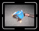 0606-CalvelloCup191 * 2560 x 1920 * (2.57MB)
