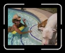 0706-TXRDRetreat005 * 2560 x 1920 * (2.34MB)
