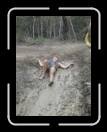 0706-TXRDRetreat130 * 1920 x 2560 * (2.37MB)