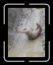 0706-TXRDRetreat133 * 1920 x 2560 * (1.96MB)