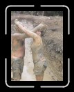 0706-TXRDRetreat155 * 1920 x 2560 * (2.25MB)
